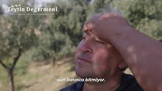 Zeytin Aceleyi Sevmez | Bir Yıllık Emeğin İlk Damlası (Belgesel)