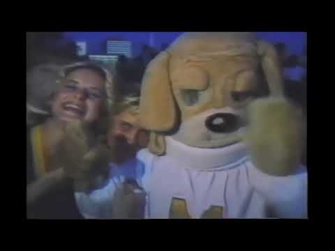 Samantha Togni - Hornet Queen [COUPF054]