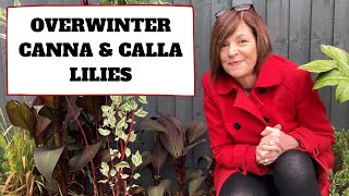 Lifting & Storing Canna Lilies and Calla Lilies Over Winter ❄️