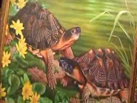 YouTube Video 5kxAxkKQmVQ