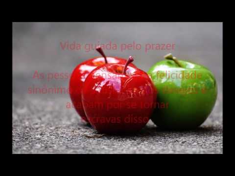 O que é felicidade ?