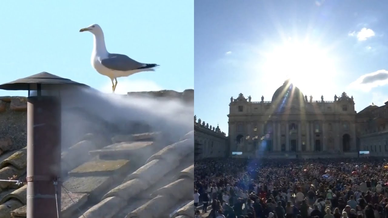 Watch the moment white smoke emerges from Sistine Chapel sending the huge crowd wild