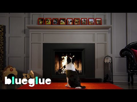 Náhled pro video reference