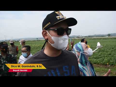 WISATA AEROMODELLING