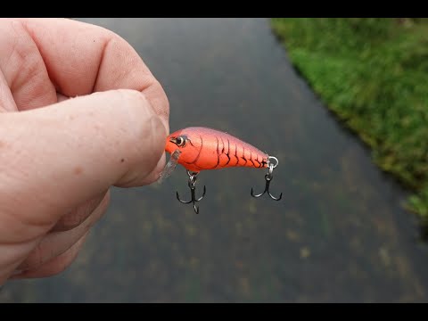 This Thicc UL Crankbait Catches Chunky River Perch!