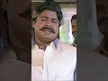 Kushboo On Fire Shorts Minsara Kanna Thalapathy Vijay Kushboo Sun NXT