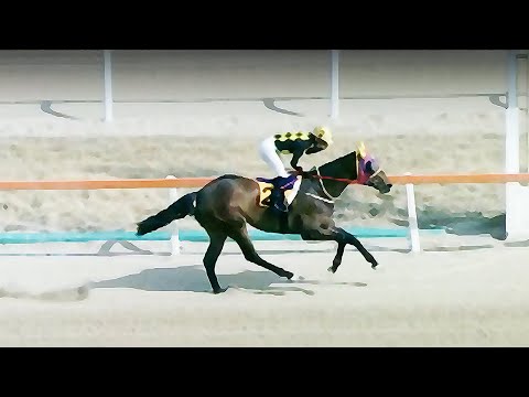 7/19(토)-손석범-부메+제메[싹다]중배당+9개/다적중[가야할마필]또,좋습니다/상승세/쭉~!!