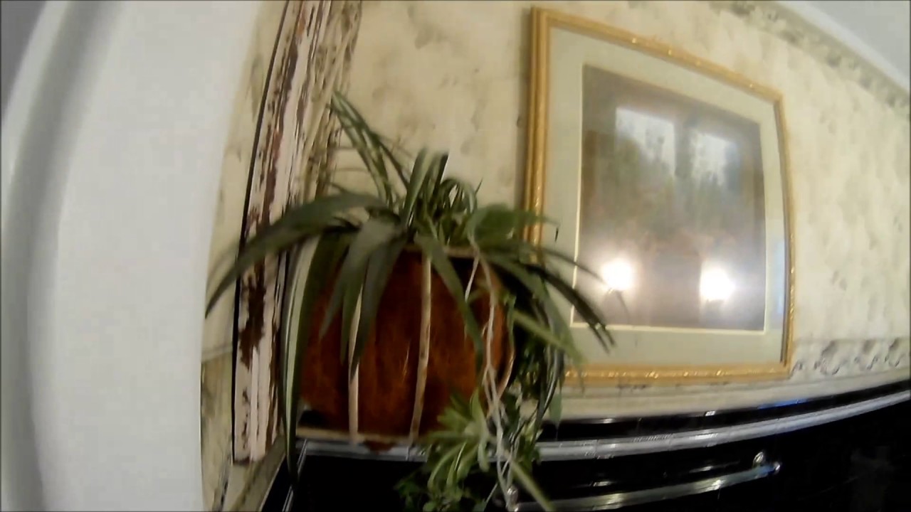 Real Living Solutions: Bland Street, Bluefield WV