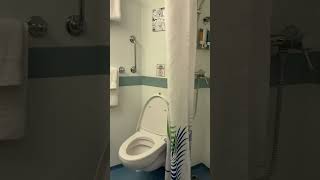 Flushing a Carnival Cruise toilet 🚽 #shorts #carnival #toilet #viralvideo #inspirational