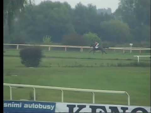 LL, 23. 9. 2017, 7. dostih - STEEPLECHASE SPOLEČNOSTI SOLIGHT