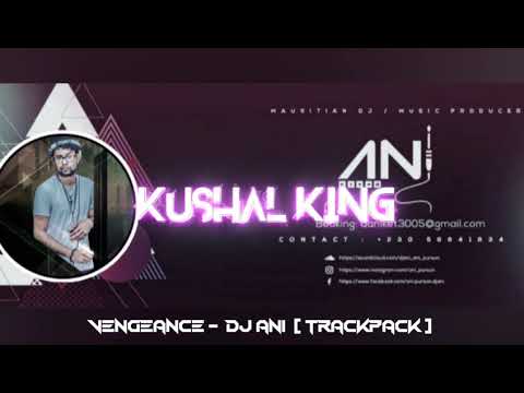 VENGEANCE  - DJ ANI (TRACKPACK)