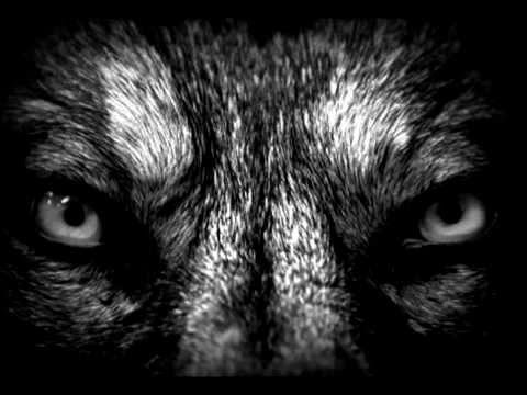 Jereb ft. Sterkus-(demač)