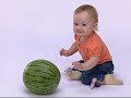 Baby Einstein Descubriendo Formas Círculos Cuadrados Y Muchos Más 2007 60fps
