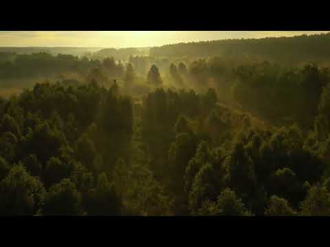 4K Two girls riding horses at the beach (stock video) free download