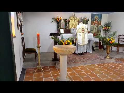Santo Sacrificio De La Misa - Dominica In Albis. 7 Abrí 2024. R. P. José Manuel.