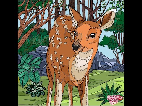 The beauty of nature | Coloring book