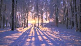 Templecloud&#39;s &#39;One big family&#39;  - by gemski