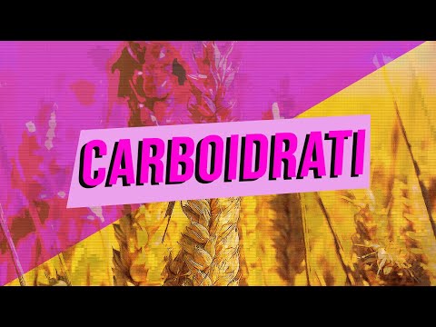 Biomolecules: CARBOHYDRATES | Science Tips