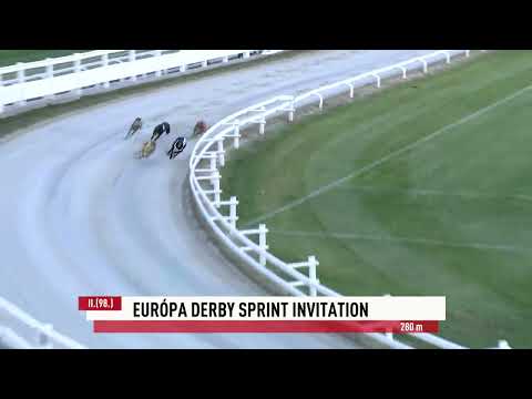 2022.09.11. 12. futam - Európa Derby Sprint Invitation