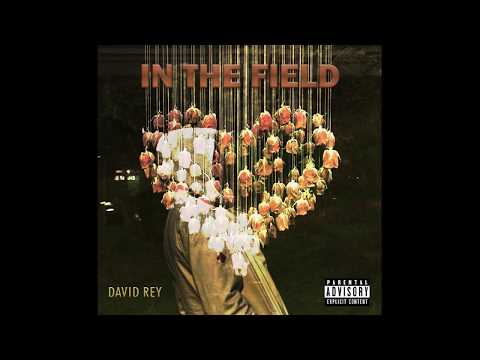 David Rey - In The Field (Prod. Sheln) [Official Audio]