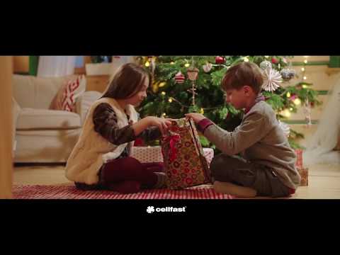 Cellfast   Tools for Living.