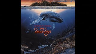 The Beach Boys - Hot Fun in the Summertime