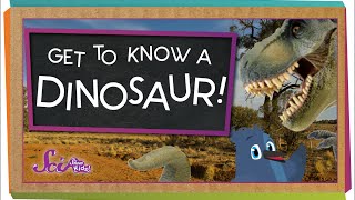 Get to Know a Dinosaur!