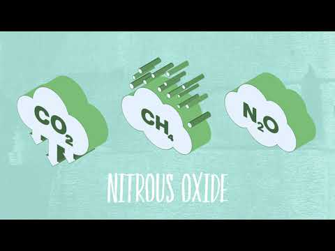 Farming Foodsteps Sustainability Video