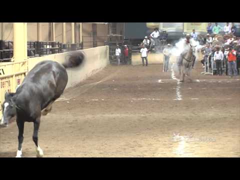 Piales - Millionaire Tournament 2014