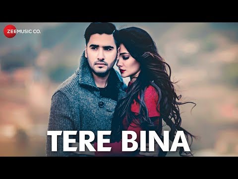 Amir Sheakh Tere Bina / Amir Sheakh