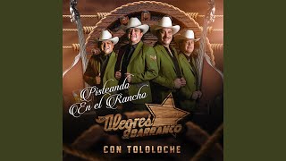 Quiero Cantarte A Ti (Con Tololoche)