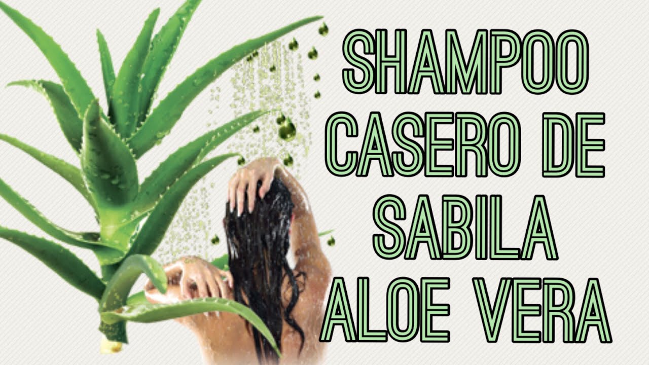 Cómo Hacer Shampoo Casero de Sabila Aloe Vera - Agregalo a tu shampoo