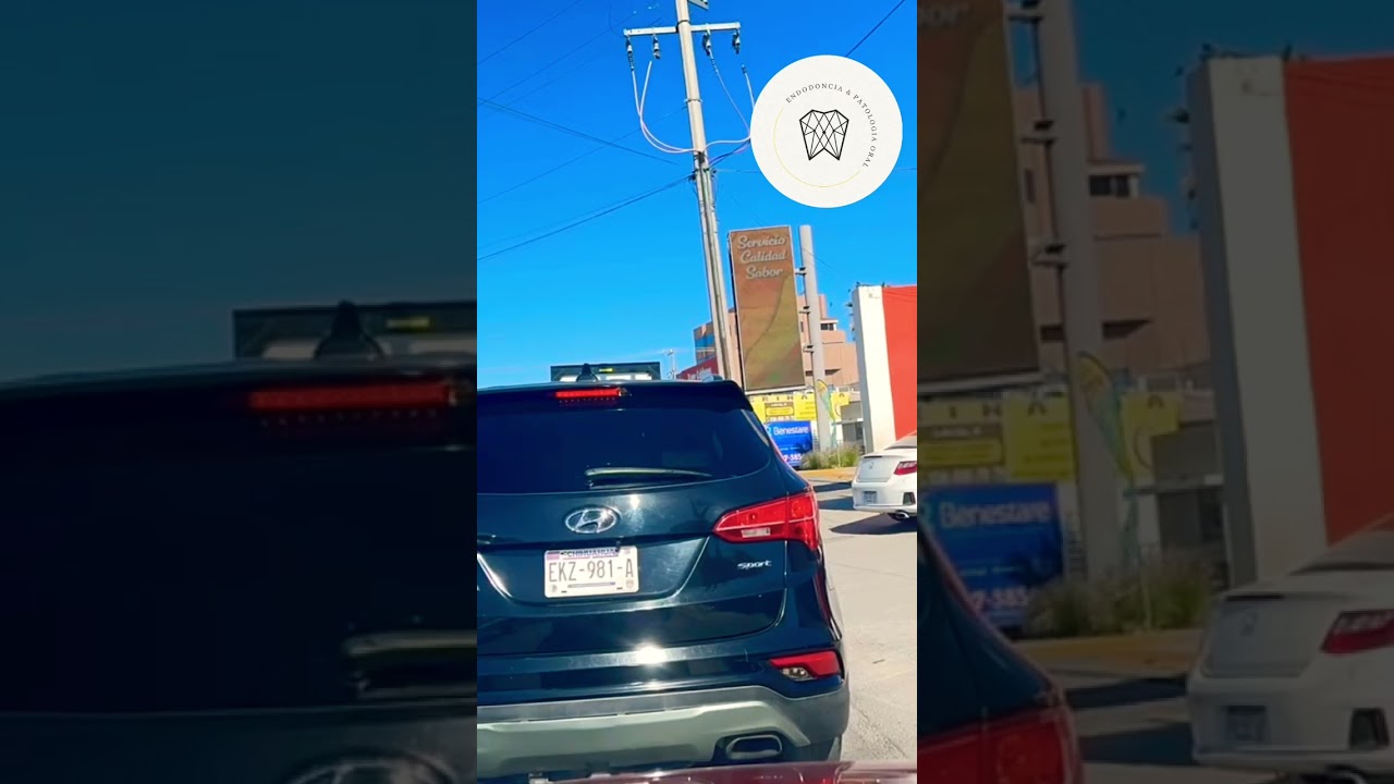 Mariana Goretti Pérez Saenz-5