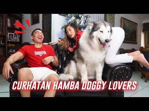 SPESIAL CURHATAN HAMBA PECINTA ANJING #CurhatanHamba