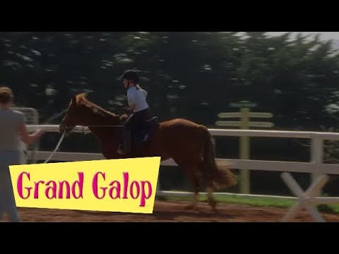 Grand Galop 116 - Le Cheval volant | HD | Épisode Complet