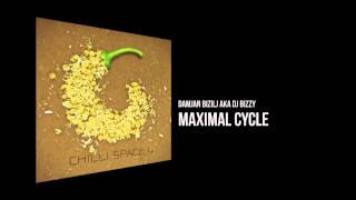 Damjan Bizilj aka DJ Bizzy - Maximal Cycle [Chilli Space 4]