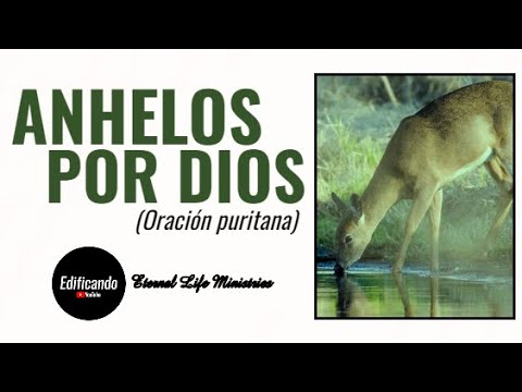 Longings for God (Puritan Prayer) - Daily Meditation