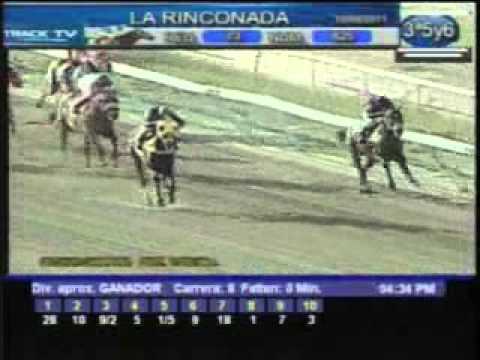 Resumen Sábado, 10 de Septiembre de 2011 - La Rinconada