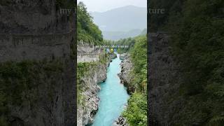 nature is my favorite palette ft. Slovenia #nature #slovenia #lakebled #travel #travelvlog