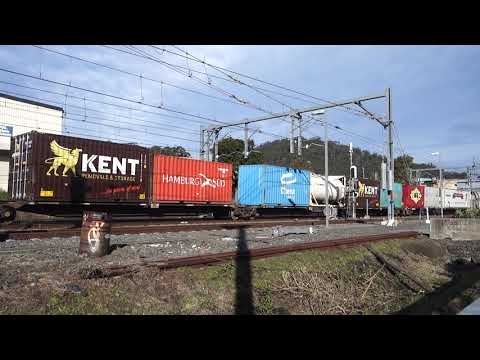 NR98 / AN1 with PN 7SB1 - 8/8/20