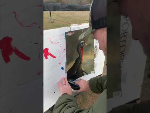 20-gauge Winchester LongBeard XR Comparison for Turkey Patterns