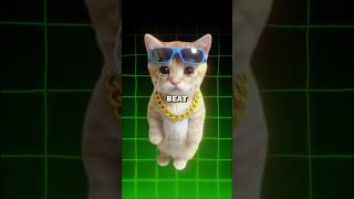 fiz um FUNK de AY MI GATITO! 🐱 KKKKKKKK