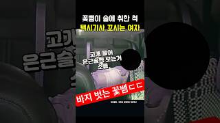 Download lagu 자나깨나 꽃뱀 조심ㄷㄷ #썰 #짤 #이슈 #드라이브 mp3