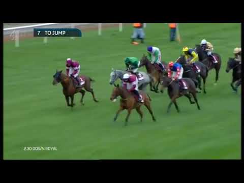 2014 JNwine.com Champion Chase