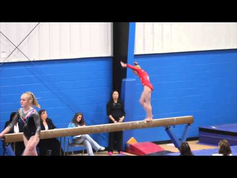 2014 Level 9 State Meet