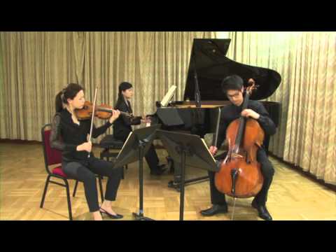 Fournier Trio: J. Brahms Trio No.2 Op.87 - II. Andante con moto