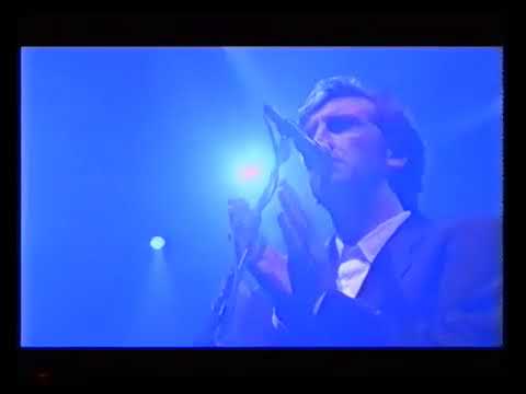 Jimmy Nail - Love Don't Live Here Anymore (Live)