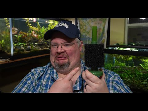 Your Sponge Filter Sucks