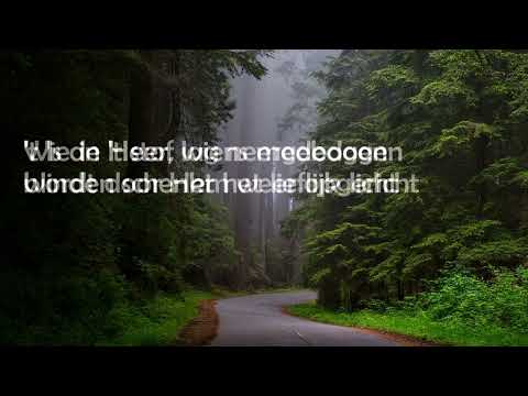 Opwekking met tekst 221 Prijs de Heer met blijde galmen (versie 2)