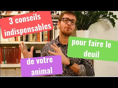 3 CONSEILS INDISPENSABLES POUR FAIRE LE DEUIL DE VOTRE ANIMAL